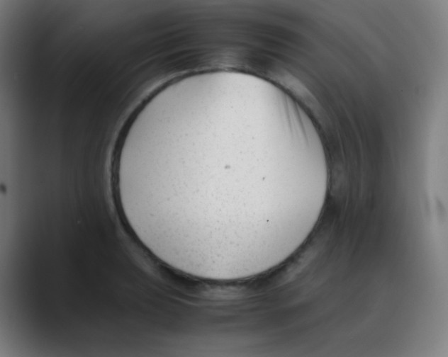 X0000088461039200706191325