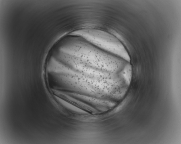 X0000088461042200706191325