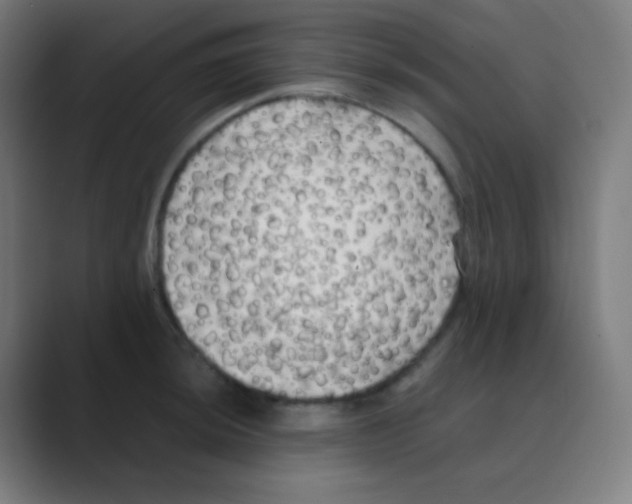 X0000088461044200706191325