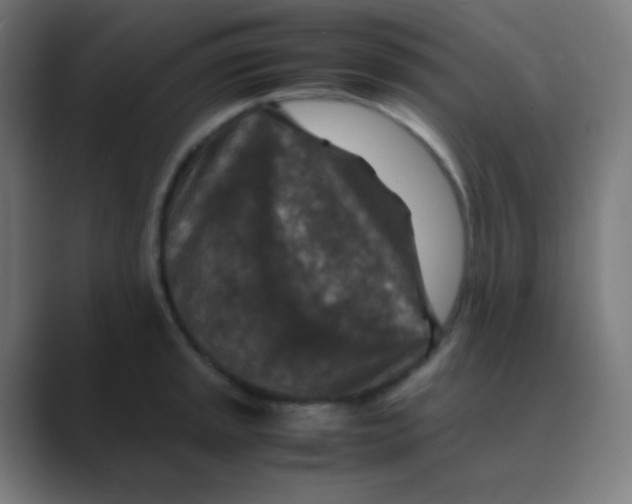 X0000088461045200706191325