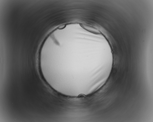 X0000088461048200706191325