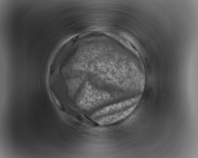 X0000088461050200706191325