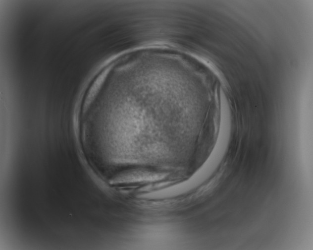 X0000088461054200706191326