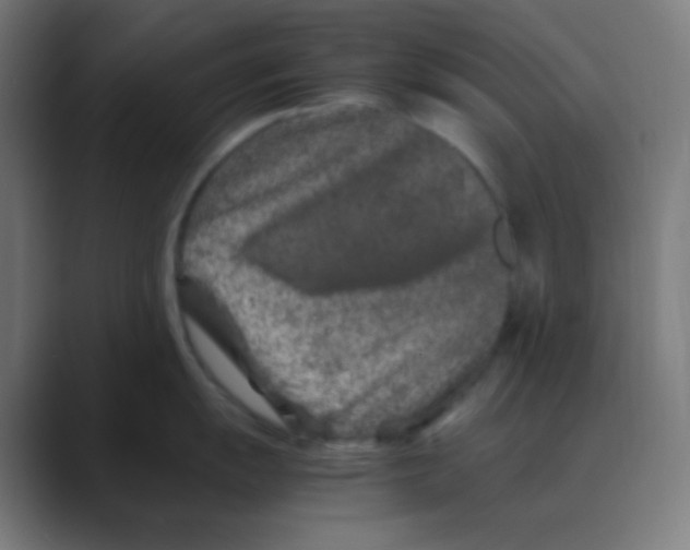 X0000088461055200706191326