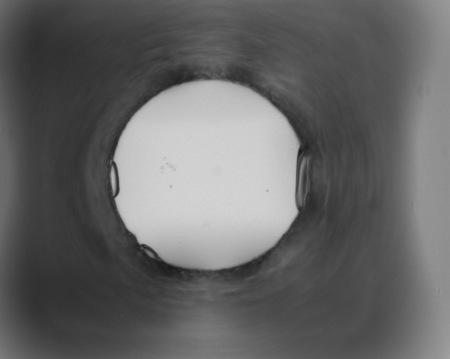 X0000088461057200706191325