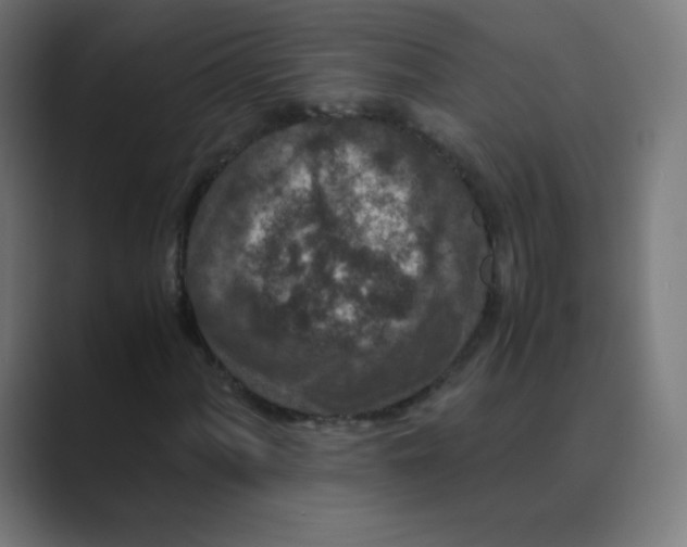 X0000088461060200706191325