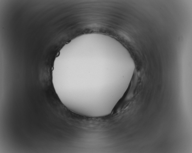 X0000088461062200706191325