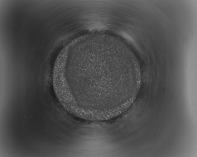 X0000088461063200706191325