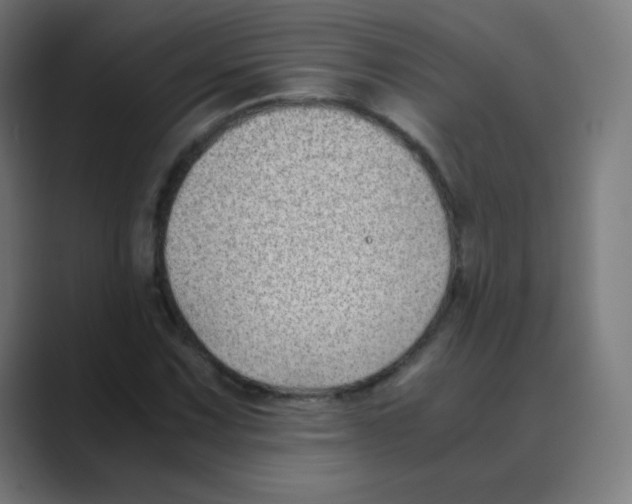 X0000088461067200706191325