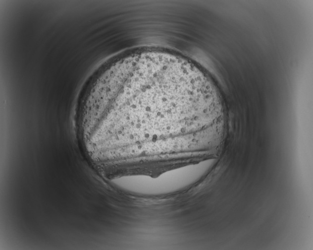 X0000088461068200706191325