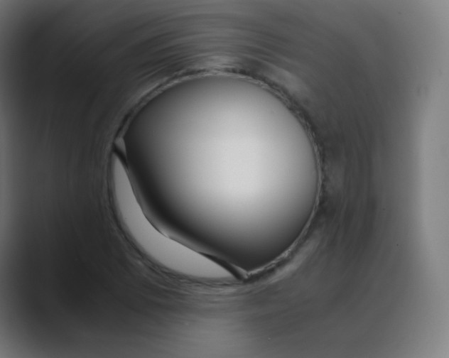 X0000088461073200706191325