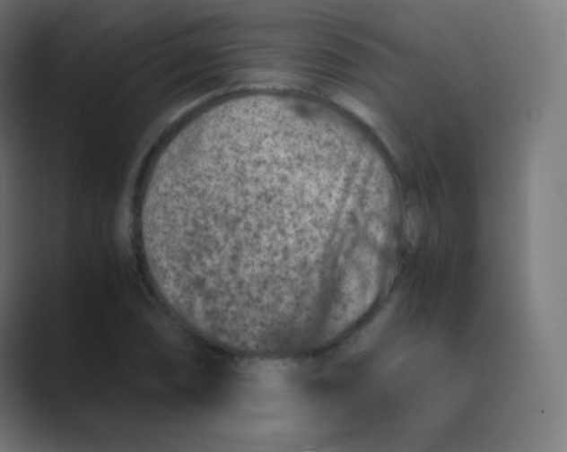 X0000088461074200706191325