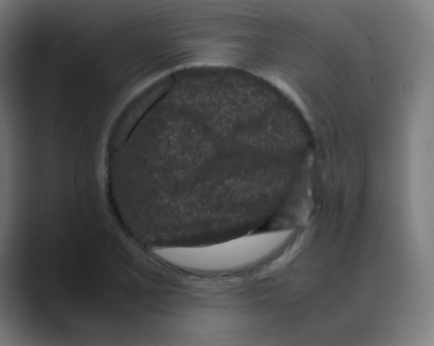 X0000088461077200706191325