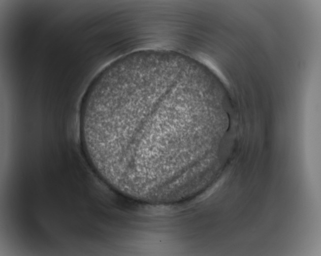 X0000088461079200706191325