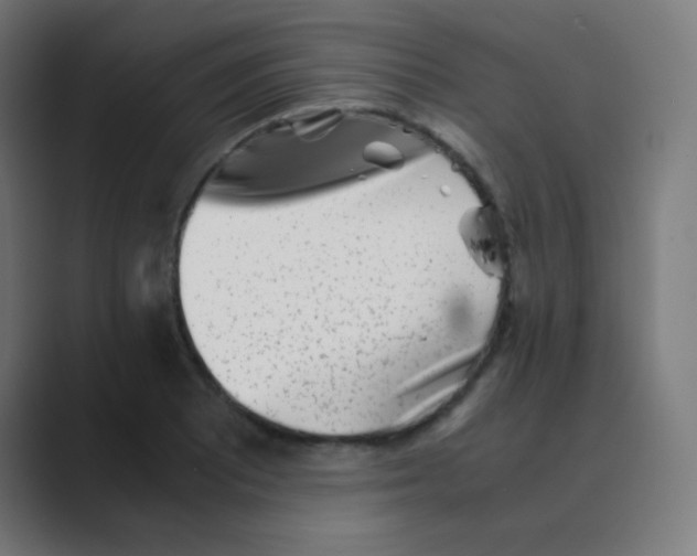 X0000088461081200706191325