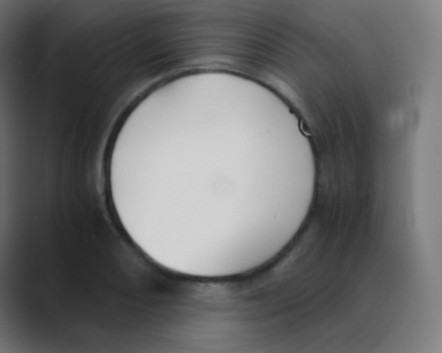 X0000088461082200706191325