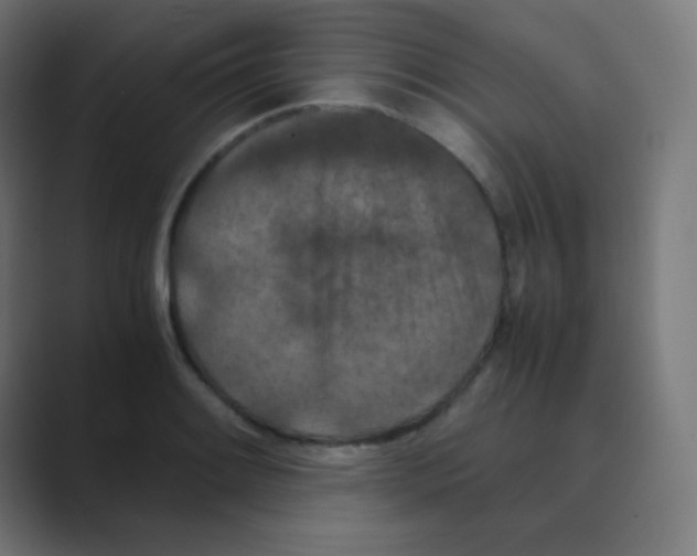 X0000088461084200706191325