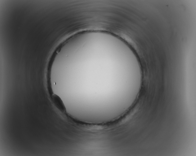 X0000088461085200706191325