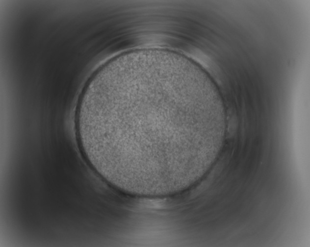 X0000088461086200706191325