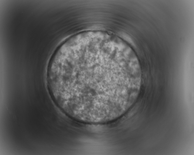 X0000088461087200706191325