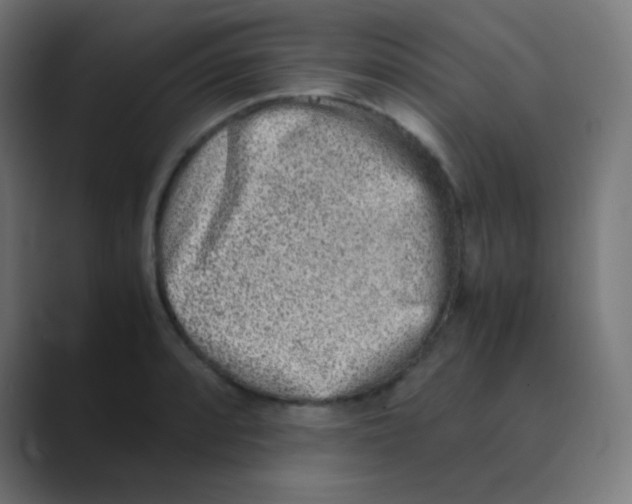 X0000088461088200706191325