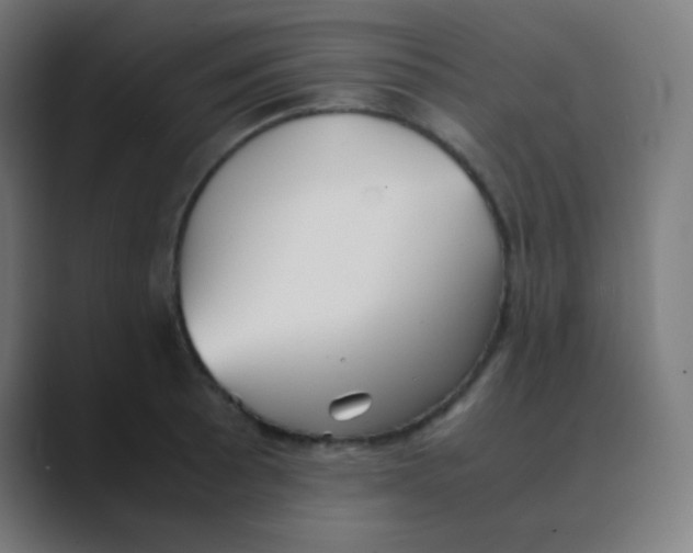 X0000088461089200706191325