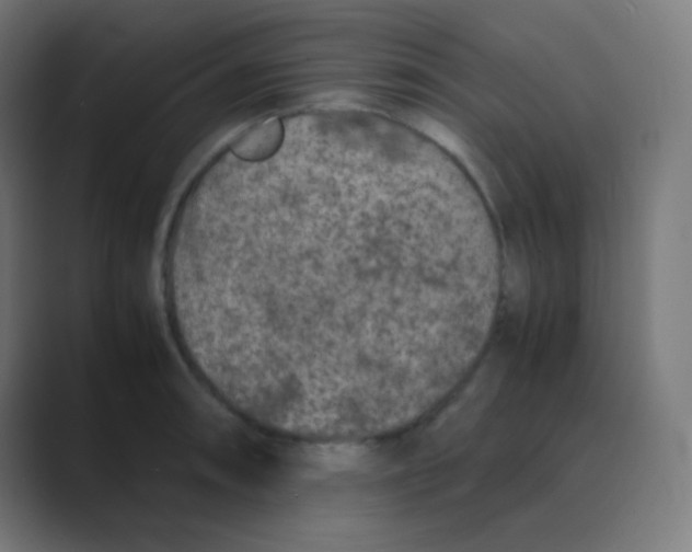 X0000088461090200706191325