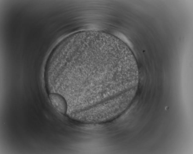 X0000088461091200706191325