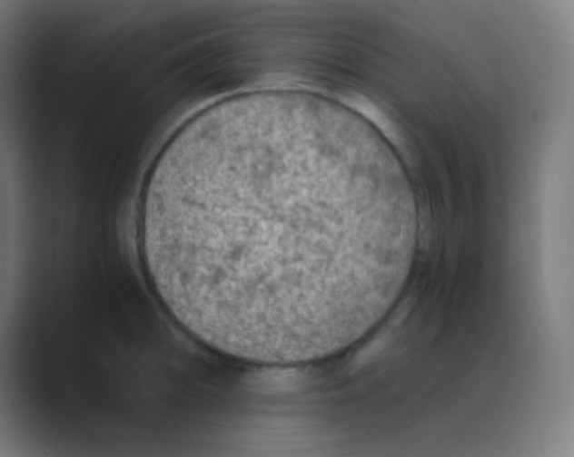 X0000088461094200706191325