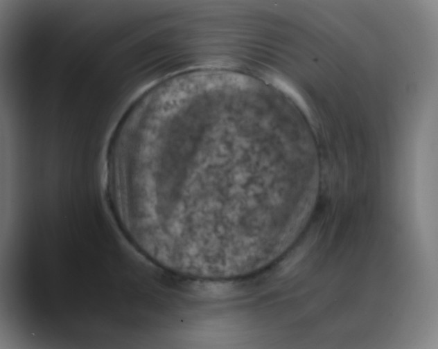 X0000088461095200706191325