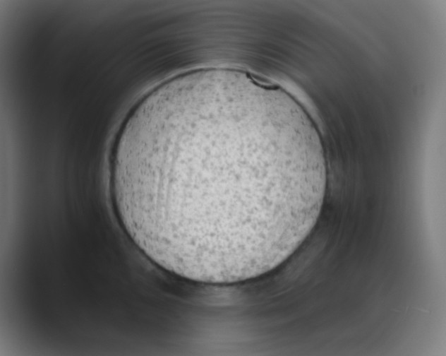 X0000088461096200706191325