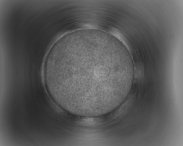 X0000088461098200706191324