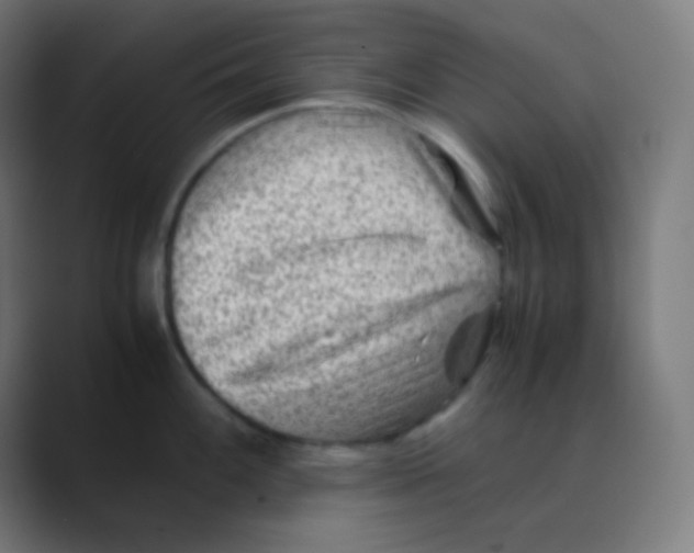 X0000088461100200706191324