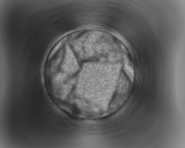 X0000088461102200706191324