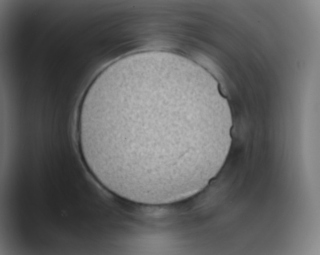 X0000088461103200706191324