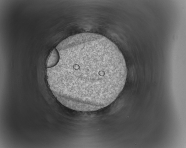 X0000088461105200706191324