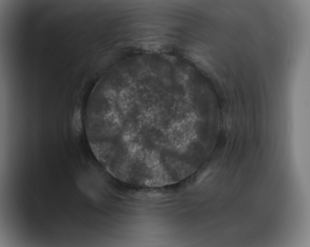 X0000088461106200706191324