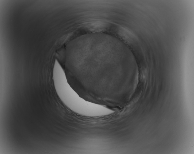 X0000088461108200706191324