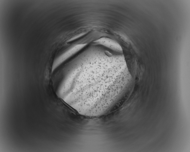 X0000088461110200706191324