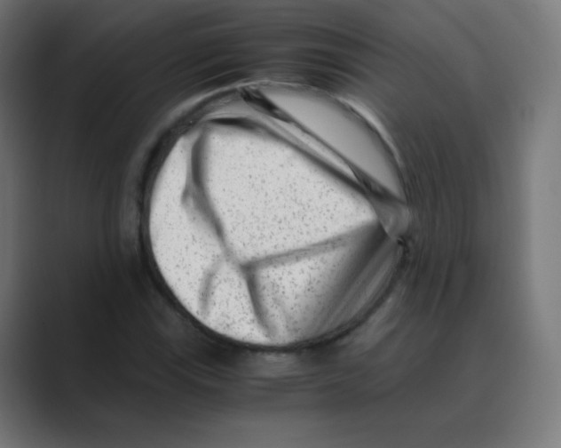 X0000088461115200706191324