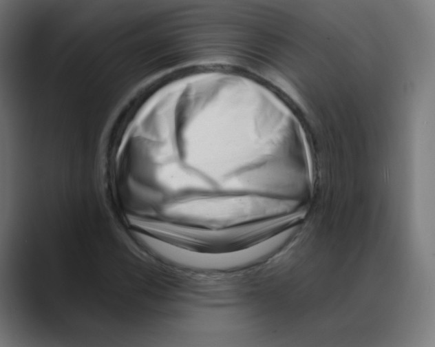 X0000088461116200706191324