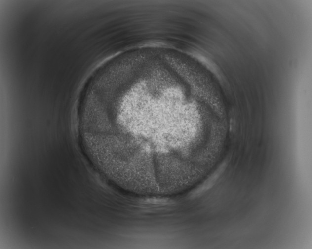 X0000088461117200706191324