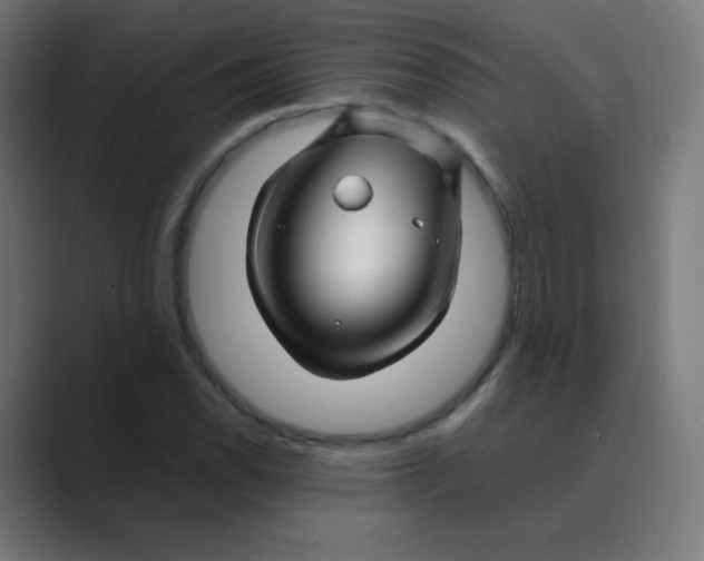 X0000088461118200706191324