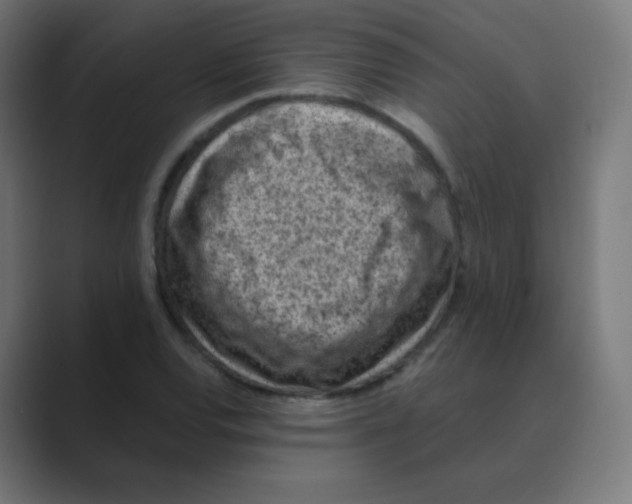 X0000088461120200706191324