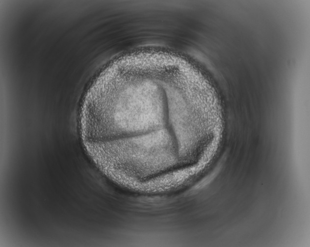 X0000088461121200706191324