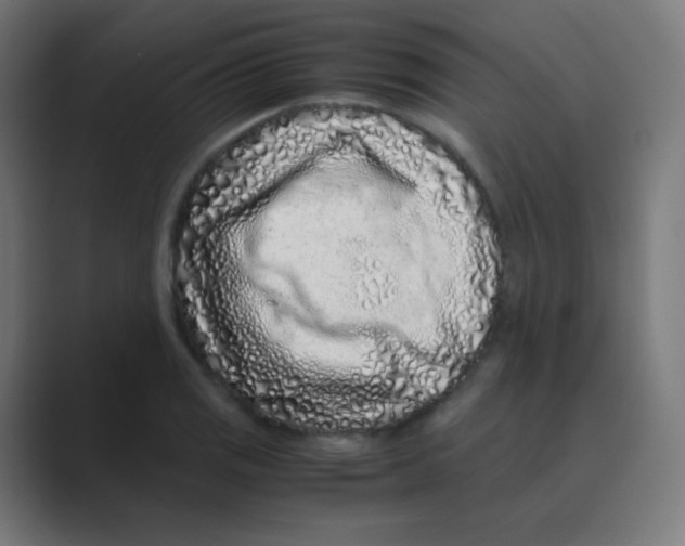 X0000088461125200706191324