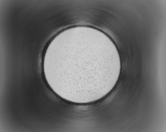 X0000088461126200706191324