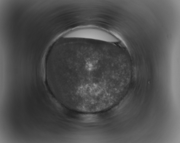 X0000088461127200706191324