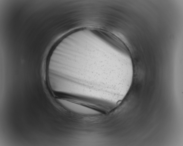 X0000088461128200706191324