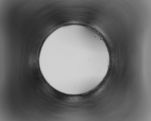 X0000088461129200706191324